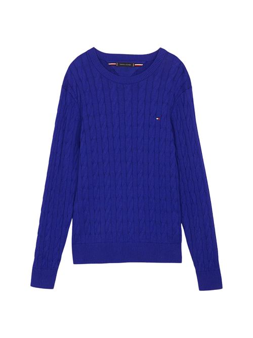 Maglioncino uomo blu in cotone bio Tommy Hilfiger | MW0MW33132D03